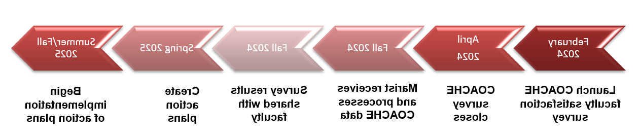 Image of the COACHE timeline.